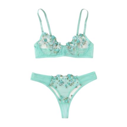 Soft Aqua Transparent Bra Panty Set