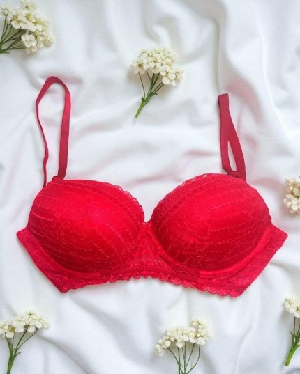 Lipstick Red Net Foam Wired Bra