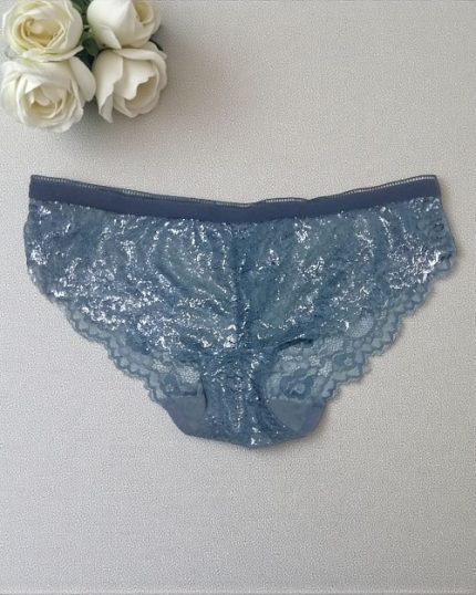 Cool Toned Blue Gray Net Panty
