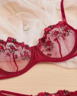 Antique Ruby Transparent Bra Panty Set - Image 4