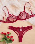 Antique Ruby Transparent Bra Panty Set