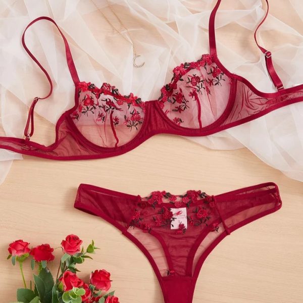 Antique Ruby Transparent Bra Panty Set