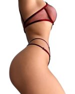 Smoky Topaz See Through Bra Panty Set - Image 4