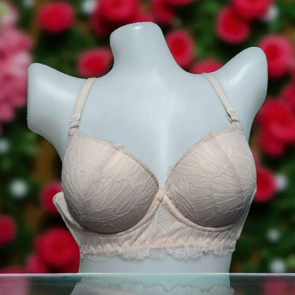 Pastel Gray Net Foam Wired Bra