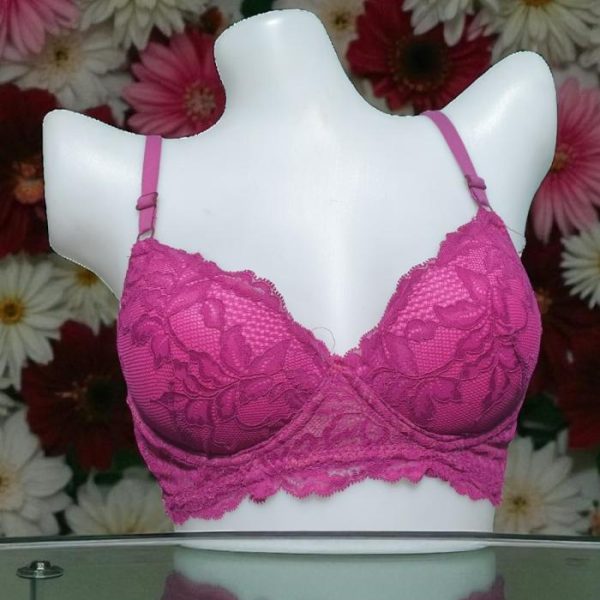 Smitten Net Foam Wired Bra