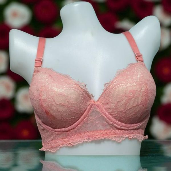 Rosy Brown Net Foam Wired Bra