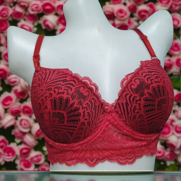 French Raspberry Net Foam Wired Bra