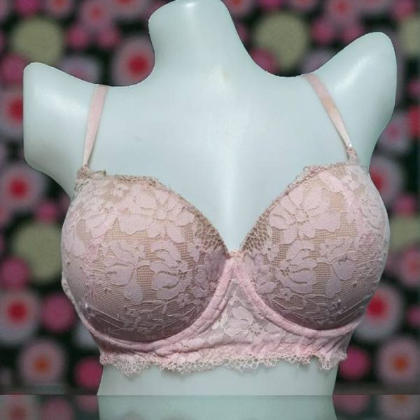 Pale Silver Net Foam Wired Bra
