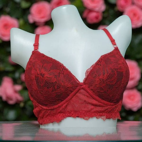 Japanese Carmine Net Foam Wired Bra