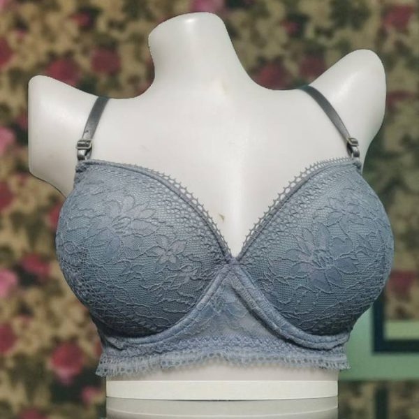 Attractive Auro Metal Saurus Net Foam Wired Bra