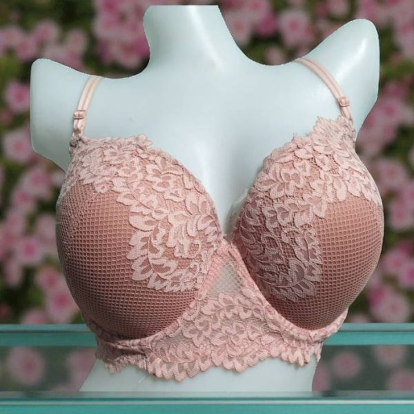 Old Rose Net Foam Wired Bra