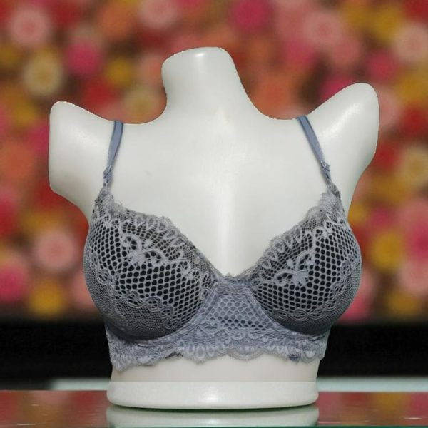 Roman Silver Net Foam Wired Bra