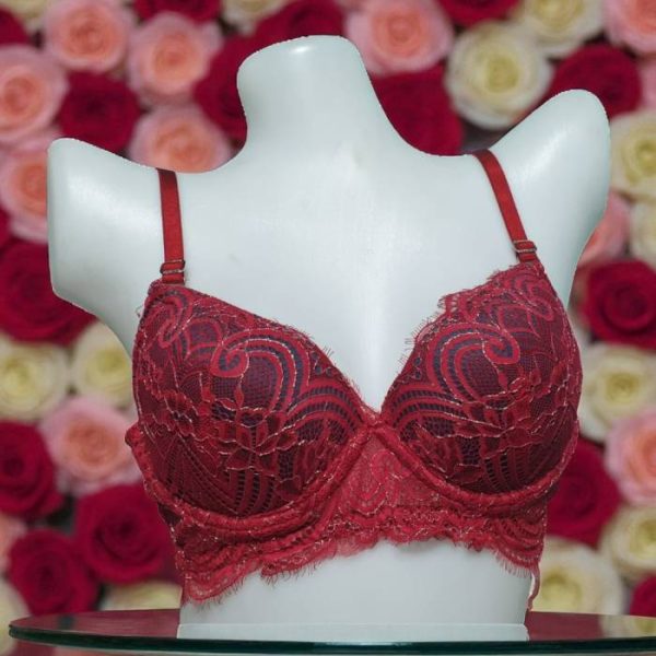 Red Violet Net Foam Wired Bra