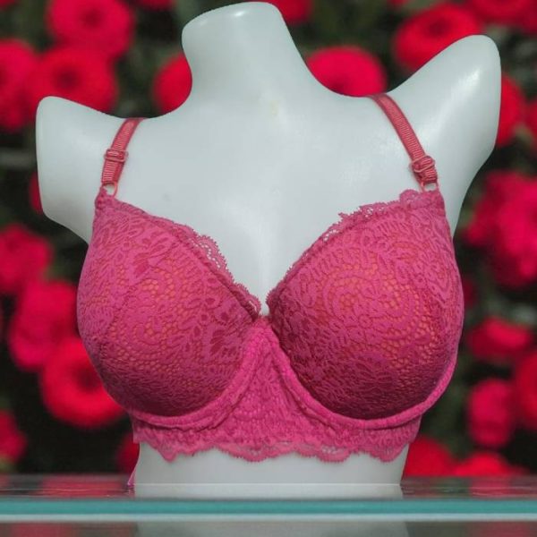 Mystic Net Foam Wired Bra