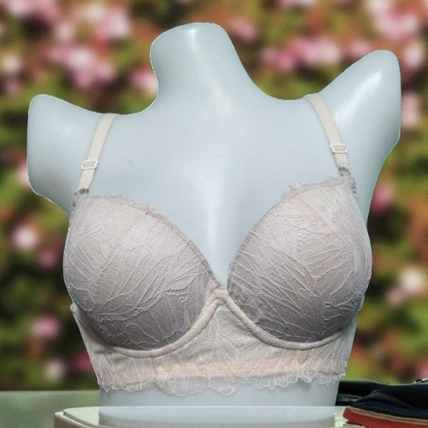 Chinese Silver Net Foam Wired Bra