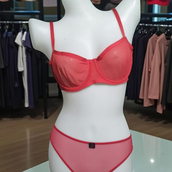 Indian Red Net Wired Set