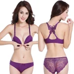 Plum China Front Open Butterfly Set - Image 6