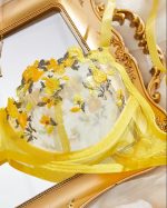 Mustard Yellow Transparent Bra Panty Set - Image 8