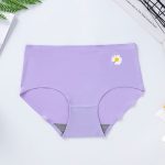 Little Daisy Ice Silk Panty - Image 4