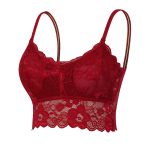 Lace Padded Bra - Image 13