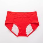 Leak Proof Menstrual Period Underwear with Warming Pocket - Image 3