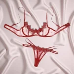 See Through Lace Transparent Set - Image 4
